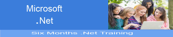 Six Month .net training