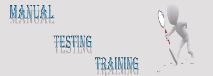 Manual Testing