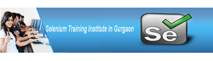 Testing Selenium